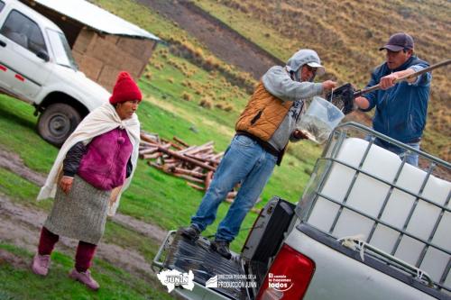 Siembra Alevinos por Día Mundial de la Acuicultura