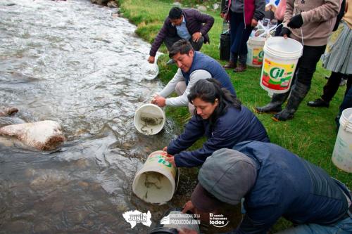 Siembra Alevinos por Día Mundial de la Acuicultura